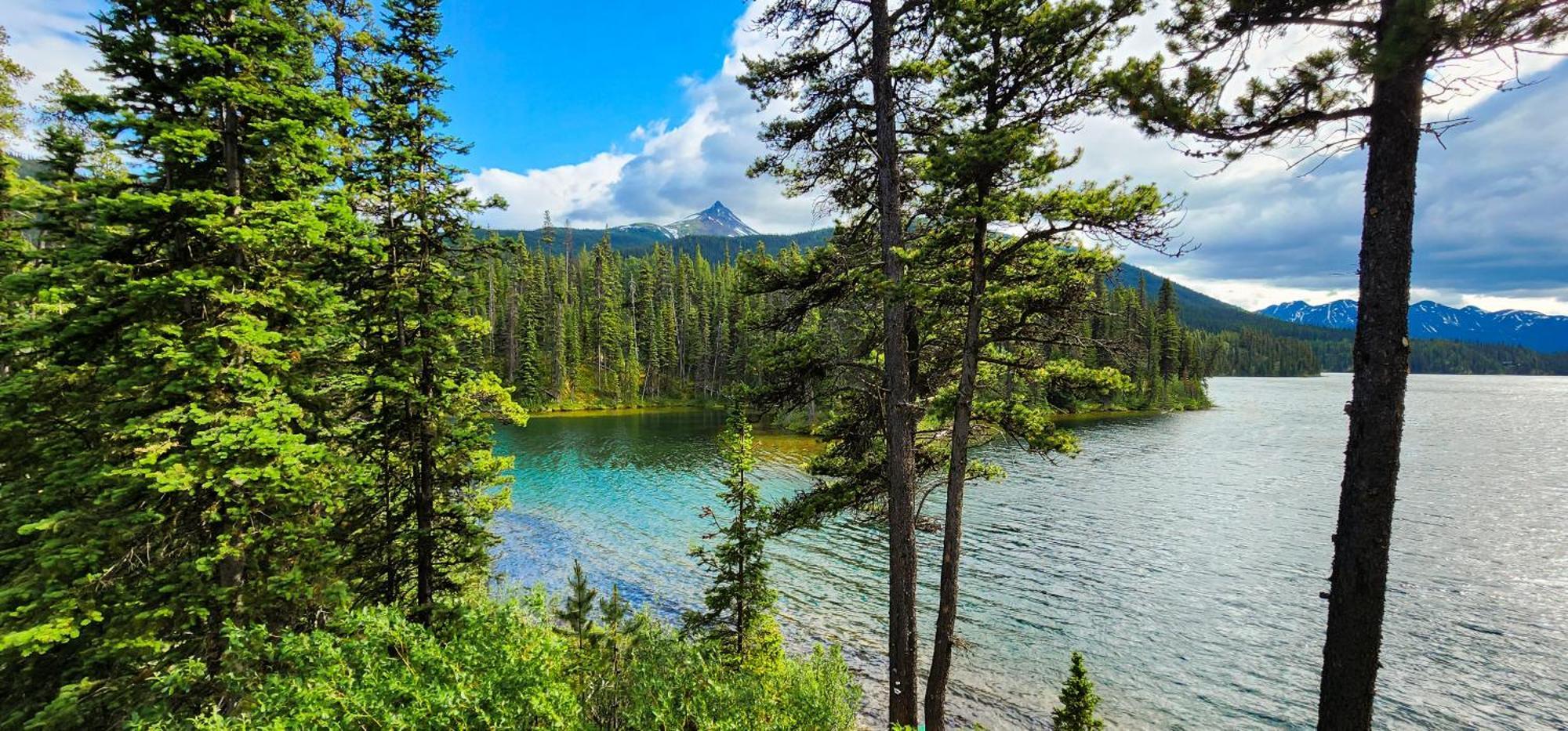 Вилла Cooks And Puppies Hideaway Jade City Экстерьер фото
